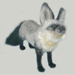fox-pouncing